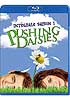 Pushing Daisies Saison 1