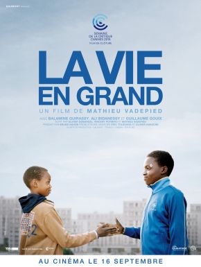 DVD La Vie En Grand