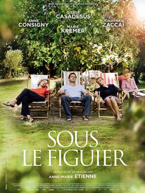 dvd Sous Le Figuier