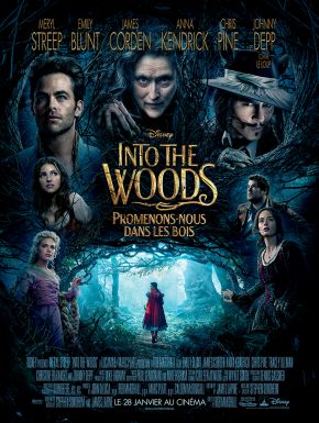 DVD Into The Woods: Promenons-nous Dans Les Bois