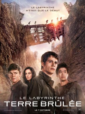 DVD Le Labyrinthe : La Terre Brûlée 