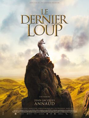 DVD Le Dernier Loup