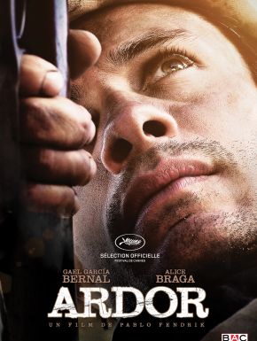 DVD Ardor