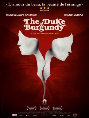 DVD The Duke Of Burgundy
