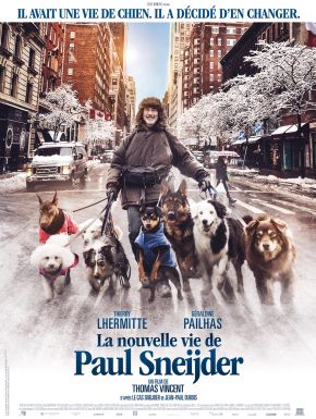 DVD La Nouvelle Vie De Paul Sneijder