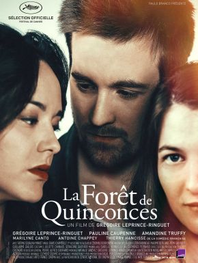 DVD La Forêt De Quinconces