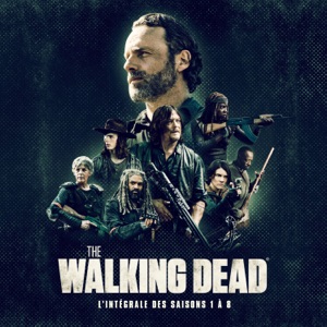 Télécharger The Walking Dead, Saisons 1-8 (VOST)
