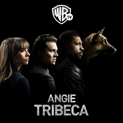 Télécharger Angie Tribeca, Saison 1 (VF)