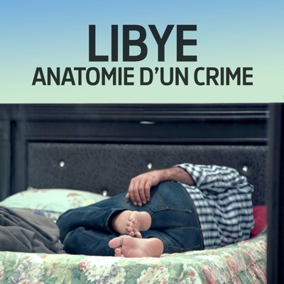 Télécharger Libye - Anatomie d'un crime