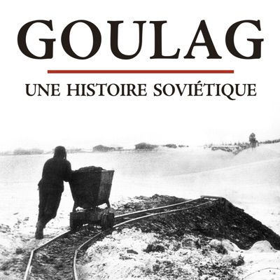 Télécharger Goulag, une histoire soviétique