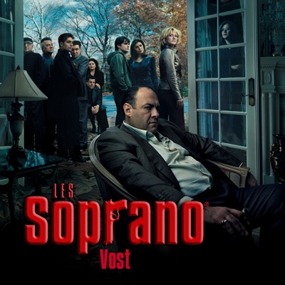 Télécharger Les Soprano, Saison 6, Partie 1 (VOST)