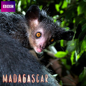 Télécharger Madagascar, Saison 1