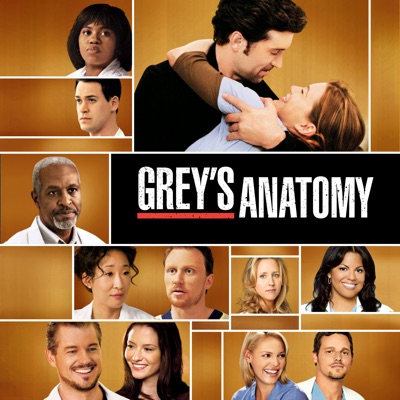 Télécharger Grey's Anatomy, Season 5