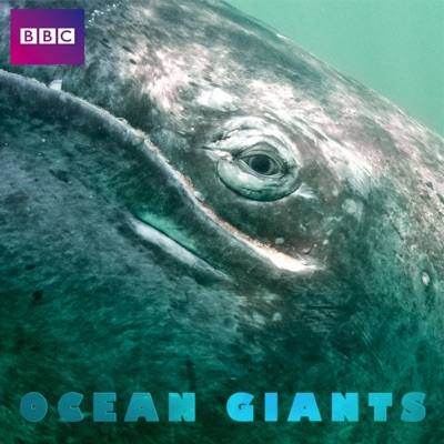 Télécharger Ocean Giants, Series 1