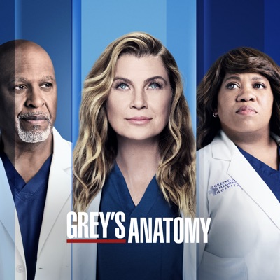 Télécharger Grey's Anatomy, Saison 18 (VOST)