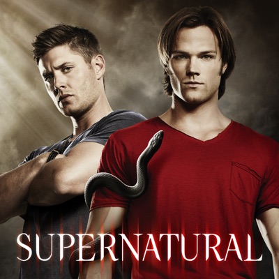 Télécharger Supernatural, Saison 6 (VF)