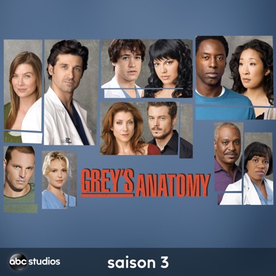 Télécharger Grey's Anatomy, Saison 3 (VF)