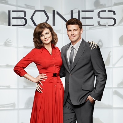 Télécharger Bones, Saison 6 (VF)