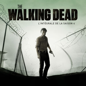 Télécharger The Walking Dead, Saison 4, Partie 1 (VOST)