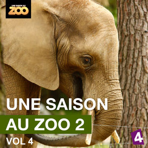 Télécharger Une saison au Zoo, Saison 2, Vol. 4