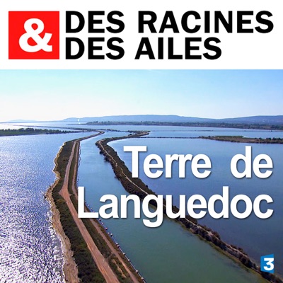 Télécharger Terre de Languedoc