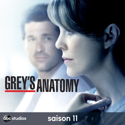 Télécharger Grey's Anatomy, Saison 11