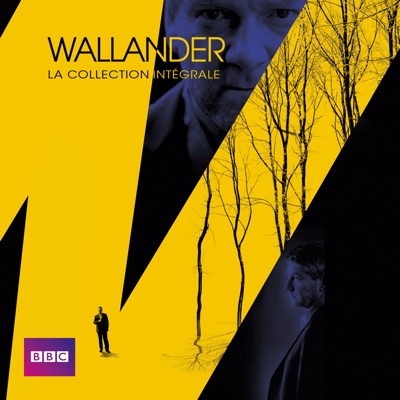 Télécharger Wallander, La collection intégrale (VF)