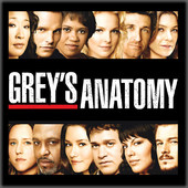 Télécharger Grey's Anatomy, Saison 4