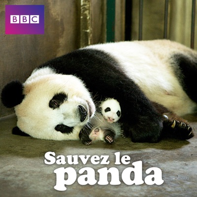 Télécharger Sauvez le panda