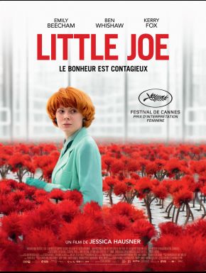 DVD Little Joe