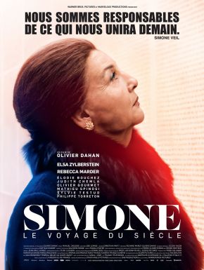 Jaquette dvd Simone, Le Voyage Du Siècle