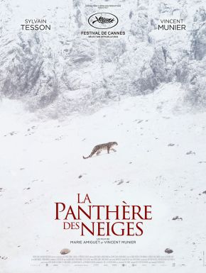 La panthère des neiges