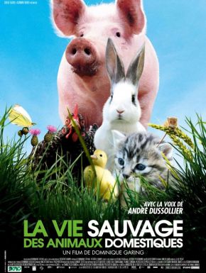 La Vie Sauvage Des Animaux Domestiques