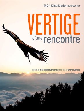 Vertige D'une Rencontre