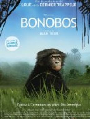 Bonobos