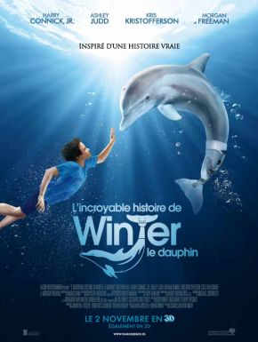 L'Incroyable Histoire De Winter Le Dauphin