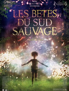 Les Bêtes Du Sud Sauvage