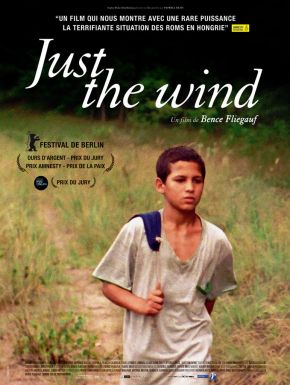 Jaquette dvd Just The Wind