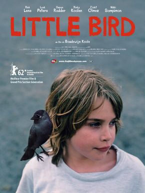 Little Bird