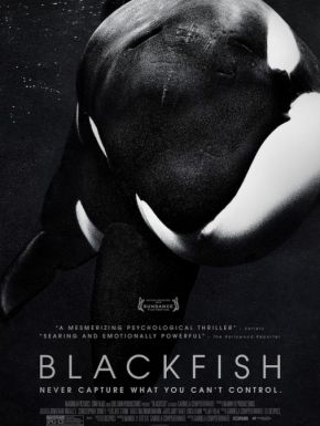 BLACKFISH