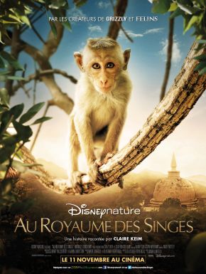 Au Royaume Des Singes