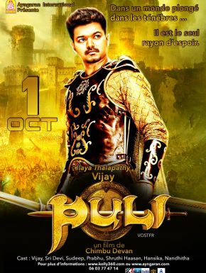 Puli