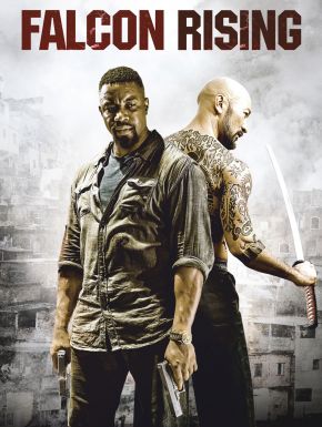 Falcon Rising