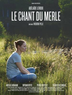 Le Chant Du Merle