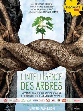 L'Intelligence Des Arbres