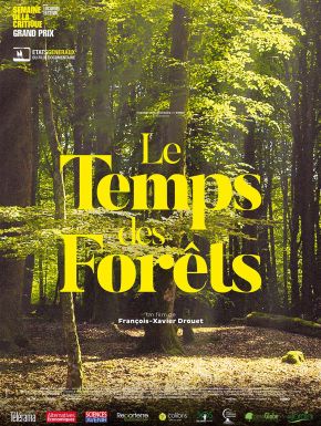 Le Temps Des Forêts