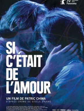 Si C’Était De L’Amour