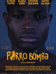 sortie dvd	
 Perro Bomba