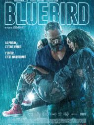 sortie dvd	
 Bluebird