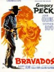 sortie dvd	
 Les Bravados